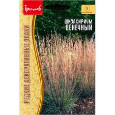 Шизахириум Венечный 20 шт Редкие семена