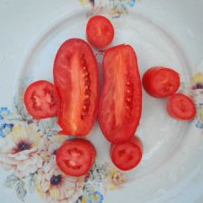 Томат Веселый Гном 10 шт Редкие семена
