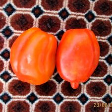 Томат Минусинская Сливка Низкая 10 шт Редкие семена