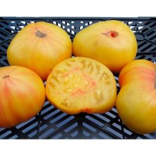 Томат Минусинское Манго 10 шт Редкие семена