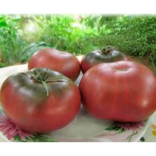 Томат Гном БрендиФред 0,02 г Любовь Мязина