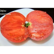 Томат Минусинские шары 0,02 г Любовь Мязина