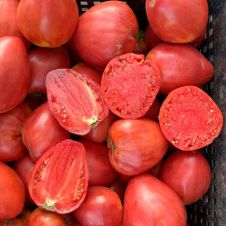 Томат Минусинский Домашний 0,02 г Любовь Мязина