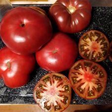 Томат Шоколадная Глыба 10 шт Наш Сад