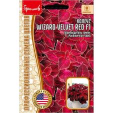Колеус Wizard Velvet Red F1 5 шт Редкие семена