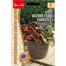 Колеус Wizard Coral Sunrise F1 5 шт Редкие семена