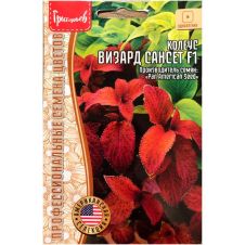Колеус Wizard Sunset F1 5 шт Редкие семена