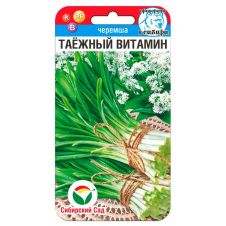 Лук Черемша Таежный витамин 0,2 г Сибирский сад