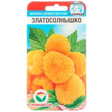 Малина Златосолнышко 10 шт Сибирский сад