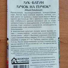 Лук батун Лучок на пучок 0,25 г Фазенда Сибири