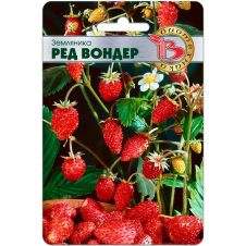 Земляника Ред Вондер 60 шт Биотехника