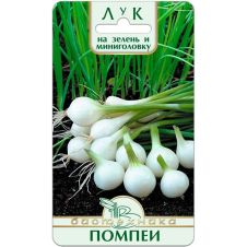 Лук на зелень Помпеи 0,5 г Биотехника
