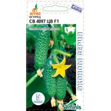 Огурец СВ 4097 ЦВ F1 5 шт Агрос