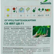 Огурец СВ 4097 ЦВ F1 5 шт Агрос