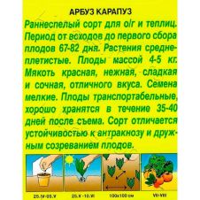 Арбуз Медовик 1 г Аэлита