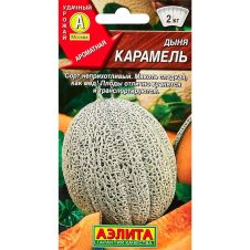 Дыня Карамель 1 г Аэлита