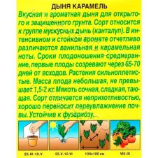 Дыня Карамель 1 г Аэлита