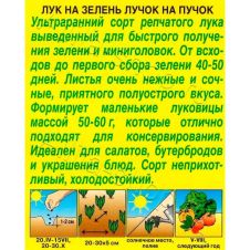 Лук на зелень Лучок на пучок 0,5 г Аэлита