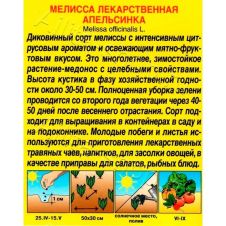 Мелисса лекарственная Апельсинка 5 шт Аэлита