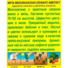 Мята мексиканская Аметист 0,05 г Аэлита