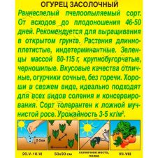 Огурец Засолочный 10 шт Аэлита