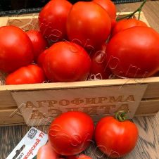 Томат Пожарский F1 10 шт Аэлита