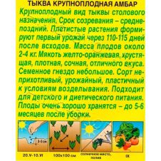 Тыква крупноплодная Амбар 1 г Аэлита