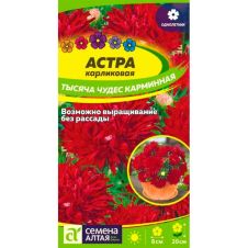 Астра Тысяча чудес карминная карликовая 0,2 г Семена Алтая
