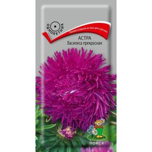Астра Василиса прекрасная, 0,3 г Поиск