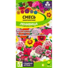 Смесь Ленивица многолетняя низкая 0,3 г Семена Алтая