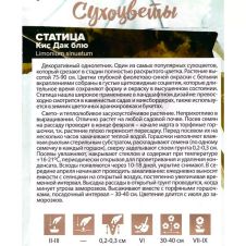 Статица Кис Дак блю 7 шт Семена Алтая СУХОЦВЕТЫ