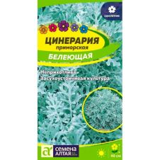 Цинерария приморская Белеющая 0,1 г Семена Алтая