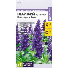 Шалфей мучнистый Виктория Блю 10 шт Семена Алтая
