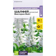 Шалфей мучнистый Виктория Вайт 10 шт Семена Алтая