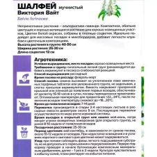 Шалфей мучнистый Виктория Вайт 10 шт Семена Алтая