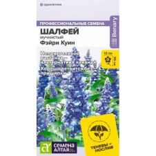 Шалфей мучнистый Фэйри Куин 5 шт Семена Алтая