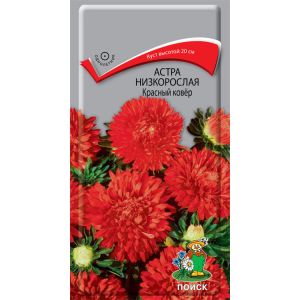 Астра низкорослая Красный ковёр, 0,2 г ПОИСК