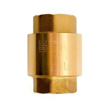 Клапан обратный пружинный ДУ 25 STI