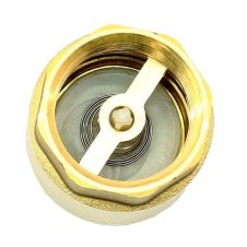 Клапан обратный пружинный ДУ 25 STI