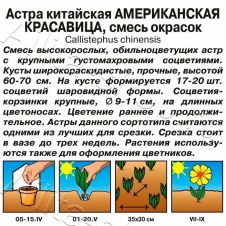 Астра Американская красавица смесь окрасок, 0,2 г АЭЛИТА
