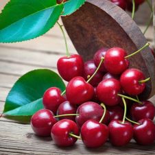 Саженец Вишня Щедрая С5