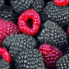 Малина Блэк Джевел