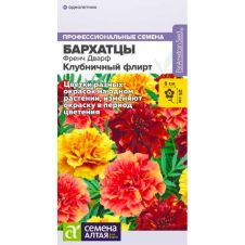 Бархатцы Френч Дварф Клубничный флирт 5 шт Семена Алтая
