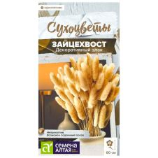 Зайцехвост злак декоративный 0,05 г Семена Алтая Сухоцветы