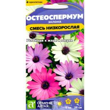 Остеоспермум Смесь низкорослая 0,1 г Семена Алтая