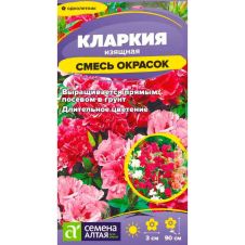 Кларкия Смесь окрасок изящная 0,1 г Семена Алтая