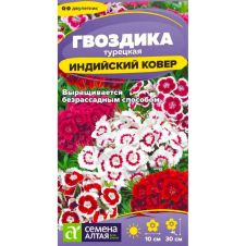 Гвоздика Турецкая Индийский ковёр 0,1 г Семена Алтая