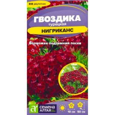 Гвоздика Турецкая Нигриканс 0,05 г Семена Алтая