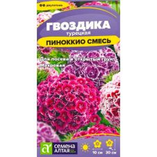 Гвоздика Турецкая Пиноккио 0,1 г Семена Алтая