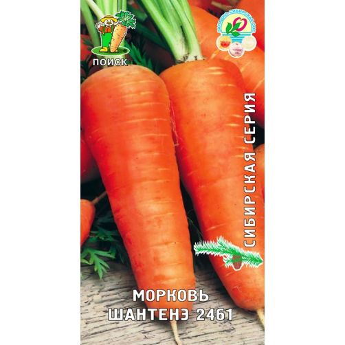 Морковь Шантенэ 2461 (сиб.серия) (ЦВ), 2 гр.
